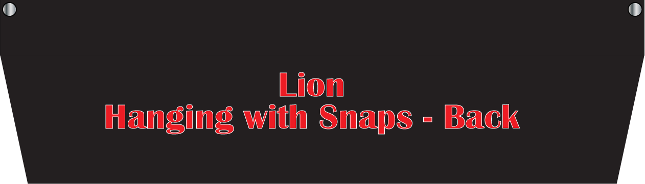 Lion Hanging with Velcro and Snaps